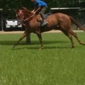 Meet your Posher, Marcus